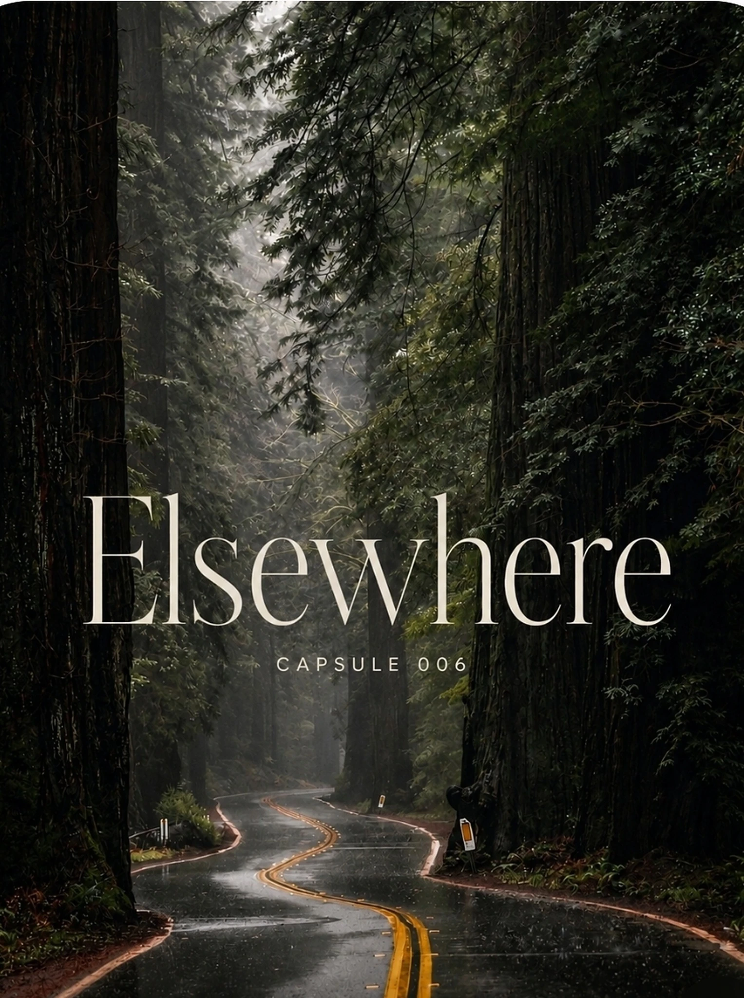 A wet road winding between giant redwoods in the rain, the Elsewhere capsule cover.